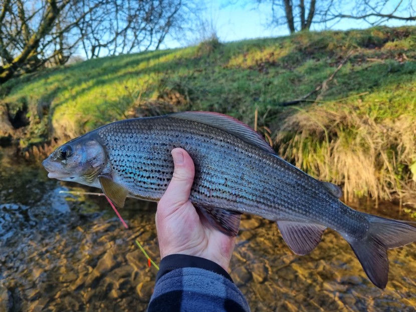 Cammarch Hotel grayling - M from Bristol